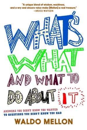 What's What and What to Do About It de Waldo Mellon