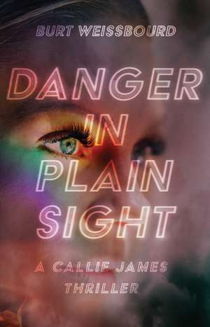 Danger in Plain Sight de Burt Weissbourd