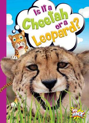 Is It a Cheetah or a Leopard? de Gail Terp