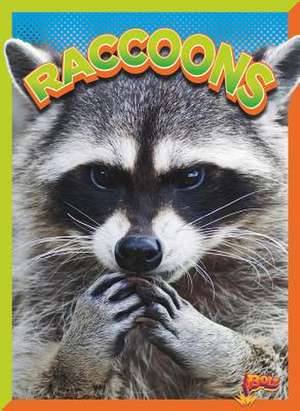 Raccoons de Gail Terp