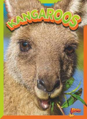 Kangaroos de Nicki Clausen-Grace