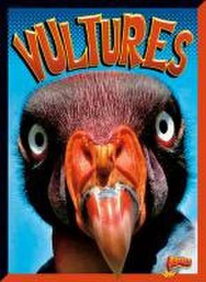 Vultures de Janet Davis-Castro