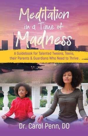 Meditation in a Time of Madness de Carol Penn