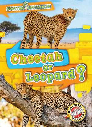 Cheetah or Leopard? de Kirsten Chang