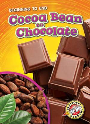 Cocoa Bean to Chocolate de Rachel Grack