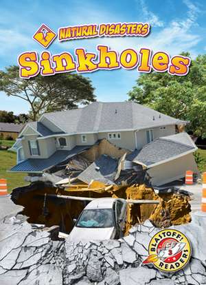 Sinkholes de Rebecca Pettiford