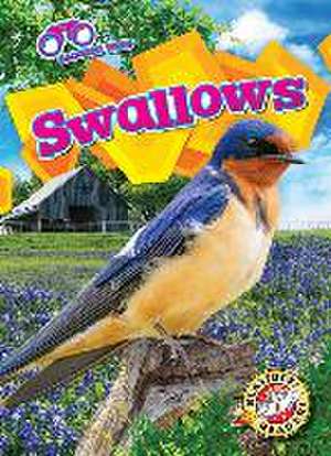 Swallows de Rachael Barnes