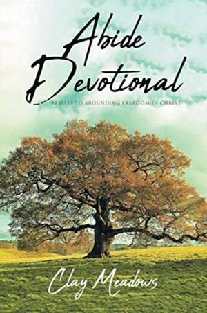 Meadows, C: Abide Devotional