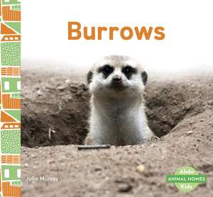 Burrows de Julie Murray