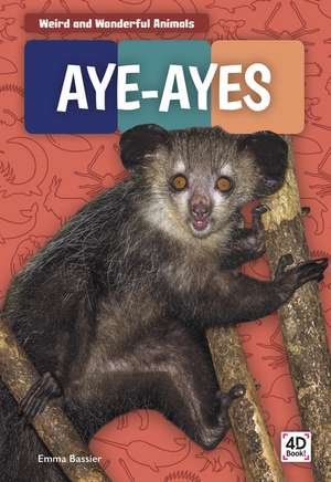 Aye-Ayes de Emma Bassier