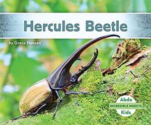 Hercules Beetle de Grace Hansen