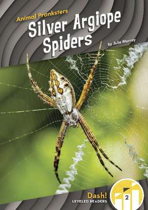 Silver Argiope Spiders de Julie Murray