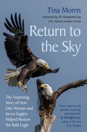 Return to the Sky de Tina Morris