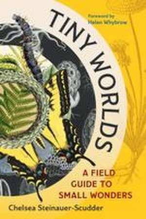 Tiny Worlds de Chelsea Steinauer-Scudder