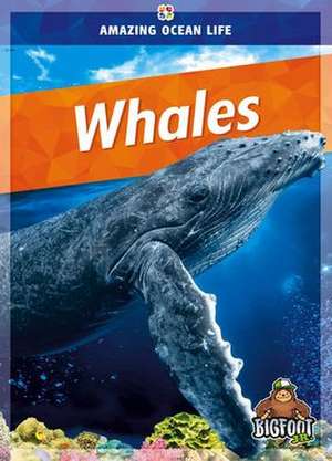 Whales de Colleen Sexton