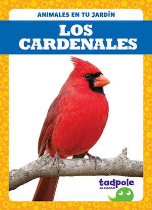 Los Cardenales (Cardinals) de Genevieve Nilsen