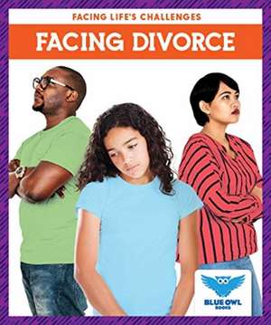 Facing Divorce de Stephanie Finne