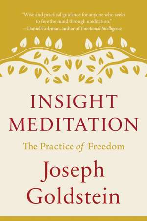 Insight Meditation de Joseph Goldstein