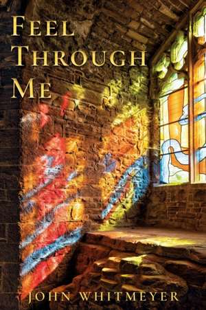 Feel Through Me de John Whitmeyer