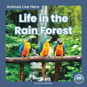 Life in the Rain Forest de Connor Stratton