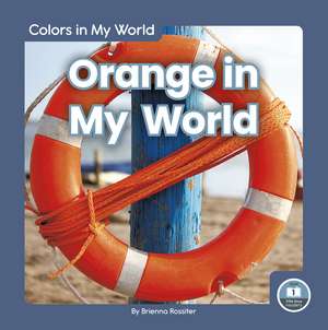 Orange in My World de Brienna Rossiter