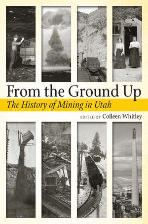 From the Ground Up de Colleen Whitley
