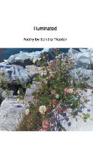 Illuminated de Sandra Thaxter