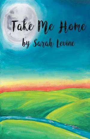 Take Me Home de Sarah Levine