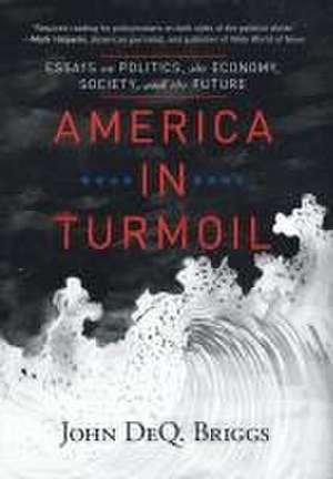 America in Turmoil de John DeQ. Briggs