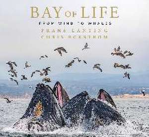 Bay of Life de Chris Eckstrom