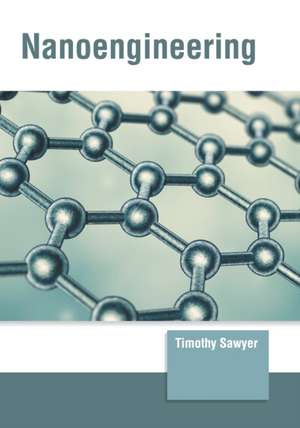 Nanoengineering de Timothy Sawyer