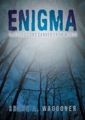 Enigma de Shane A. Waggoner