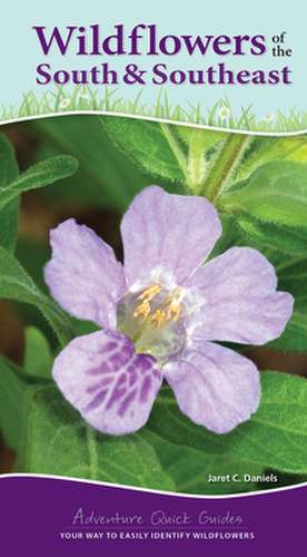 Wildflowers of the South & Southeast de Jaret C. Daniels