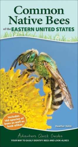 Common Native Bees of the Eastern United States: Your Way to Easily Identify Bees and Look-Alikes de Heather Holm