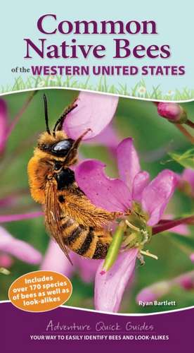 Common Native Bees of the Western United States de Ryan Bartlett