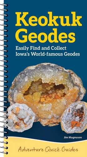 Keokuk Geodes de Jim Magnuson