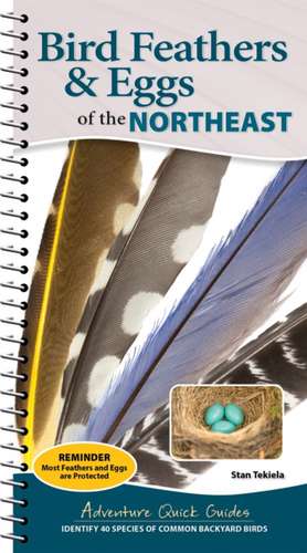 Bird Feathers & Eggs of the Northeast de Stan Tekiela