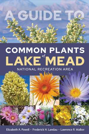 A Guide to Common Plants of Lake Mead National Recreation Area de Elizabeth A. Powell