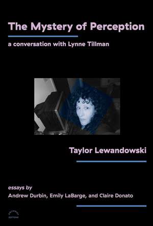 The Mystery of Perception: A Conversation with Lynne Tillman de Taylor Lewandowski