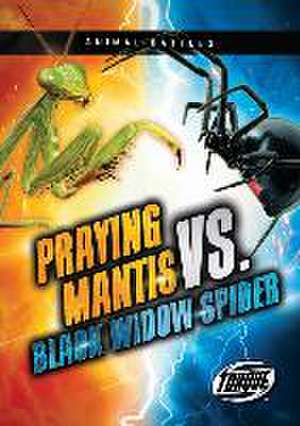 Praying Mantis vs. Black Widow Spider de Kieran Downs