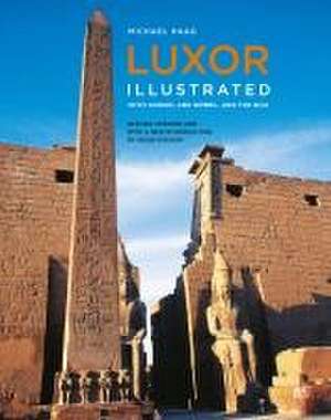 Luxor Illustrated, Revised and Updated de Michael Haag