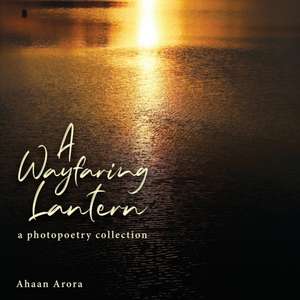 Ahaan Arora: WAYFARING LANTERN