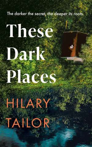 These Dark Places de Hilary Tailor