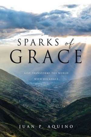 Sparks of Grace: God transforms the world with His grace de Juan P. Aquino