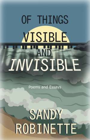 Of Things Visible and Invisible de Sandy Robinette