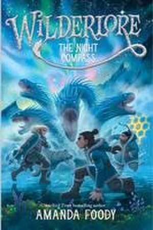 The Night Compass de Amanda Foody