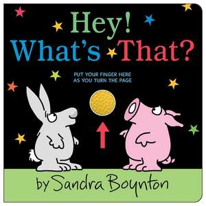 Hey! What's That? de Sandra Boynton