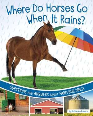 Where Do Horses Go When It Rains? de Katherine Rawson