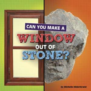 Can You Make a Window Out of Stone? de Michelle Hilderbrand