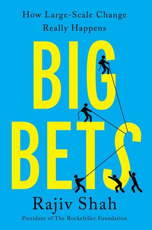 Big Bets: How Large-Scale Change Really Happens de Rajiv Shah